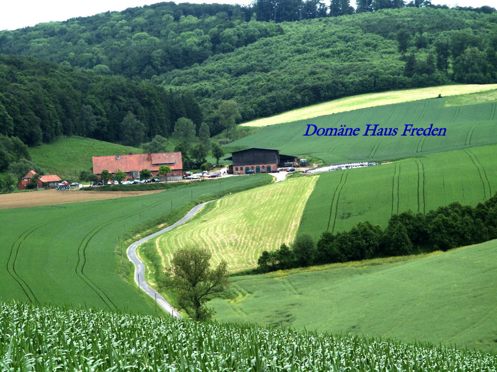 Domaene_Haus_Freden_1