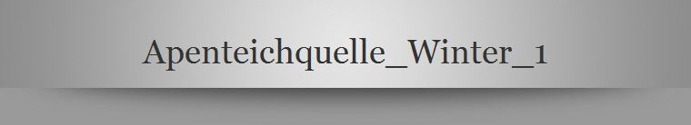 Apenteichquelle_Winter_1