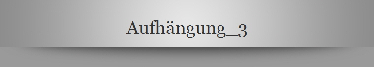 Aufhngung_3