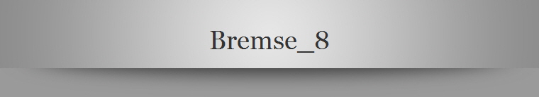 Bremse_8