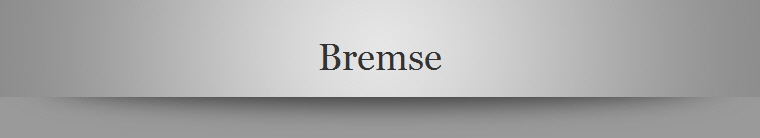 Bremse