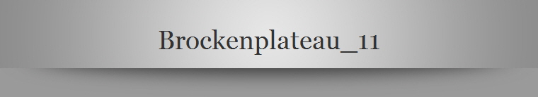 Brockenplateau_11