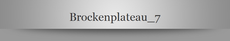 Brockenplateau_7