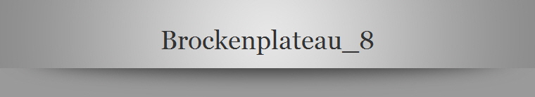 Brockenplateau_8