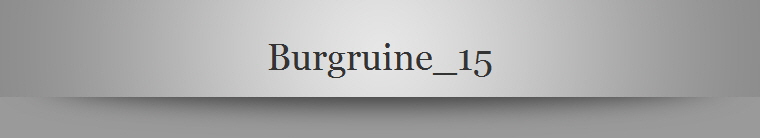 Burgruine_15