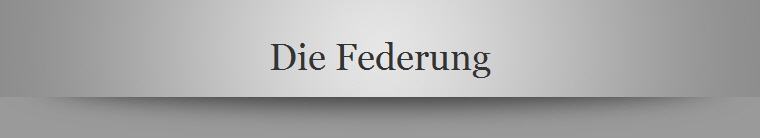 Die Federung
