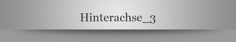 Hinterachse_3