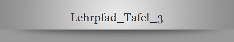 Lehrpfad_Tafel_3