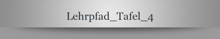 Lehrpfad_Tafel_4