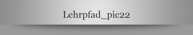 Lehrpfad_pic22