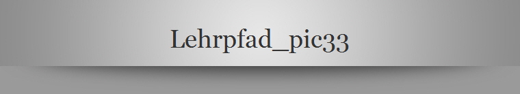 Lehrpfad_pic33