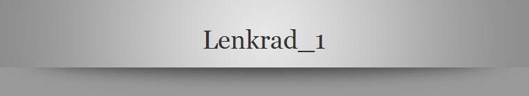 Lenkrad_1