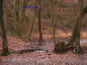 Apenteichquelle05_6
