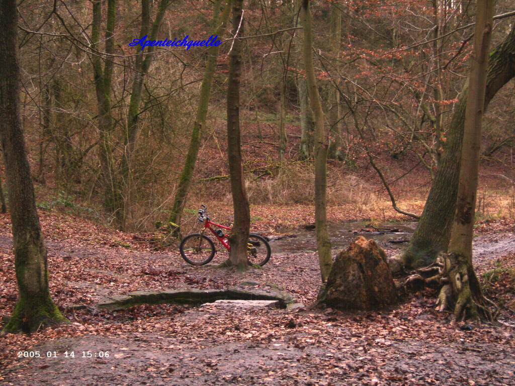 Apenteichquelle05_6