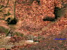 Apenteichquelle05_7