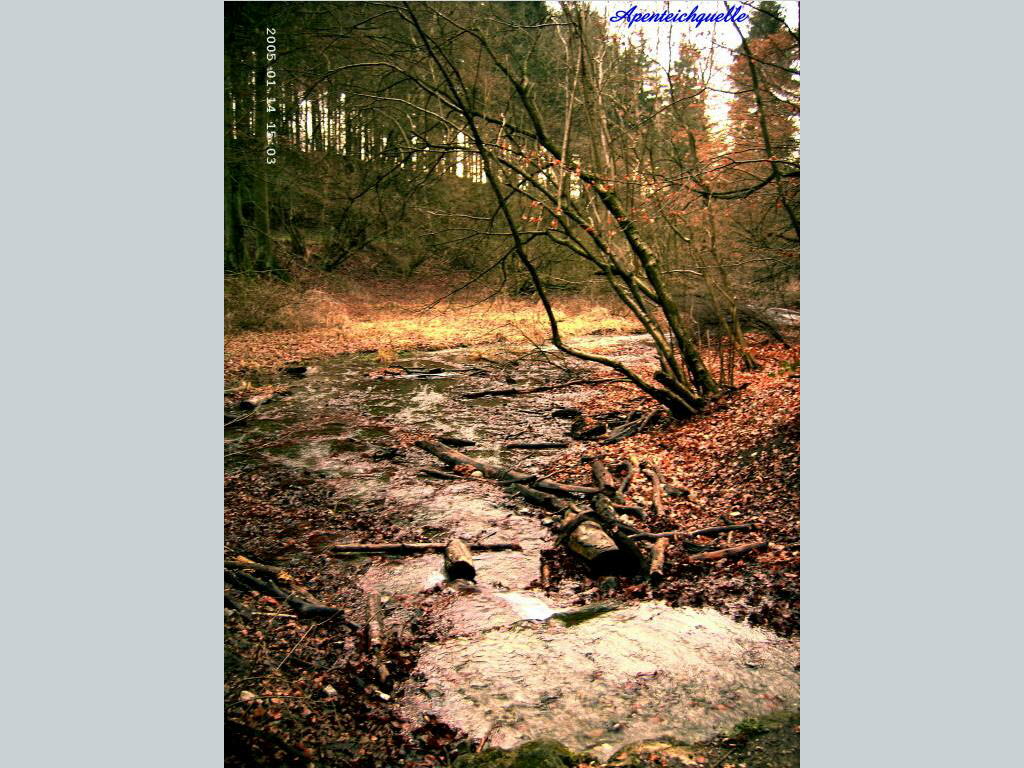 Apenteichquelle05_9