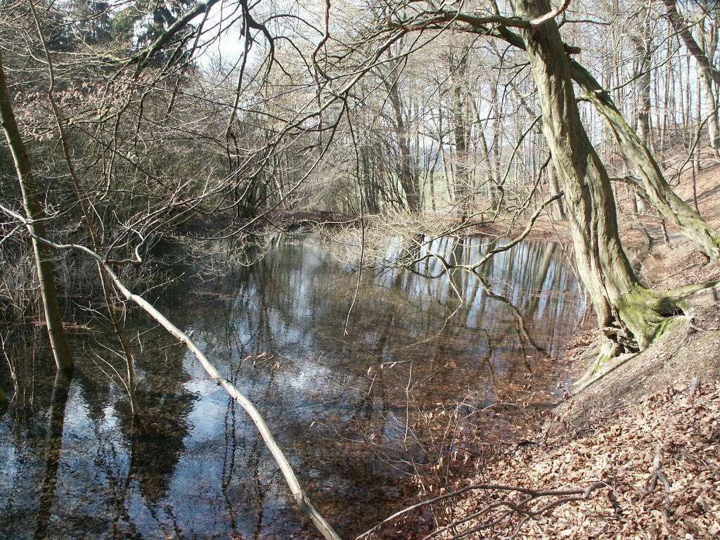 Apenteichquelle_11