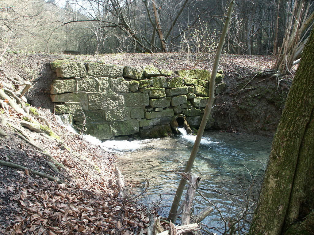 Apenteichquelle_16