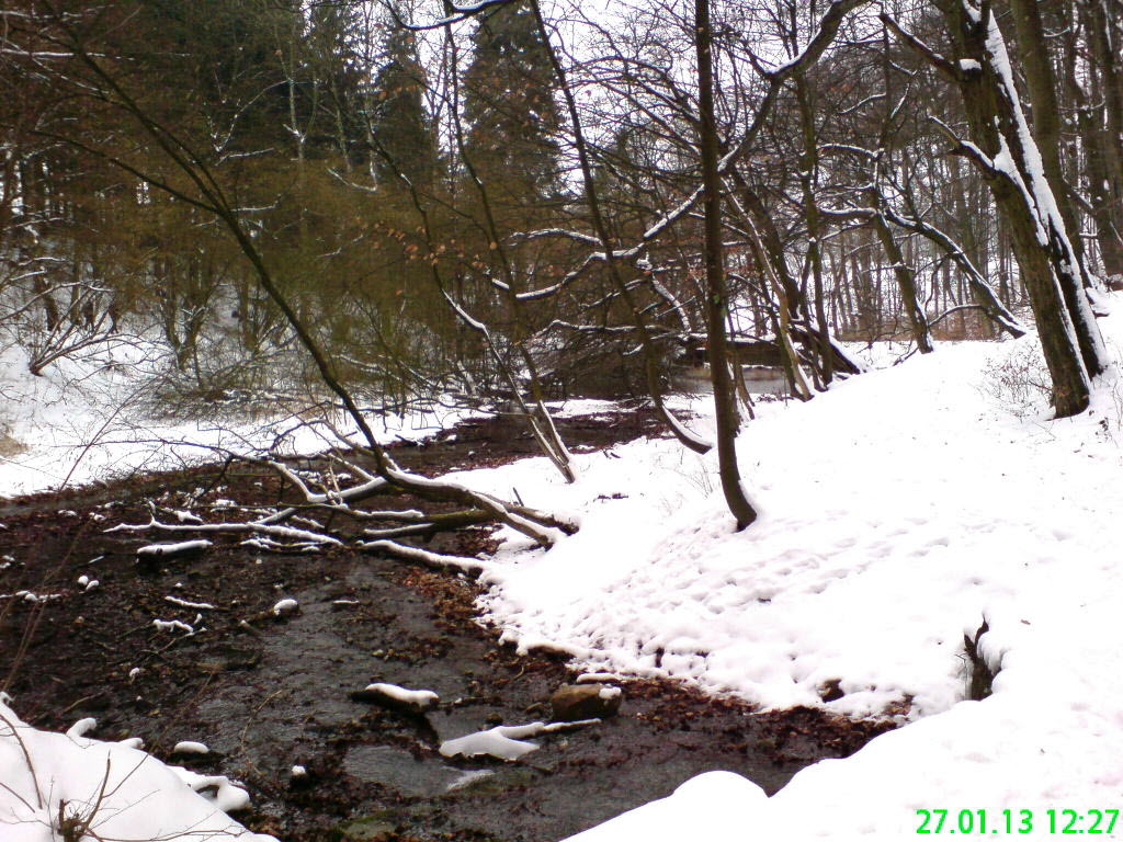 Apenteichquelle_Winter_3