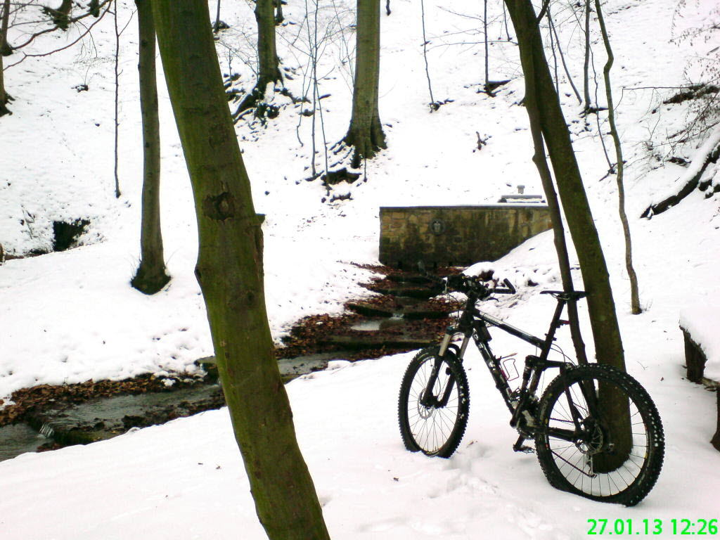 Apenteichquelle_Winter_4
