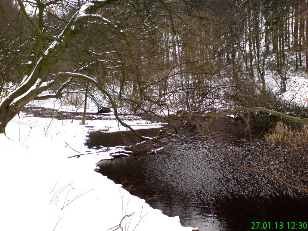 Apenteichquelle_Winter_5