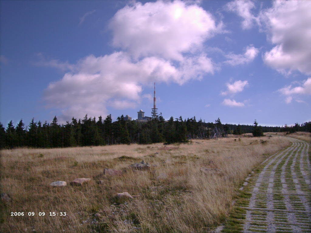 Blick vom Brockenweg_4