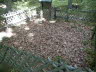 Blockhaus_pic41