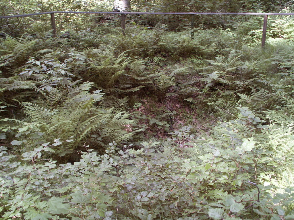Brunnen_1