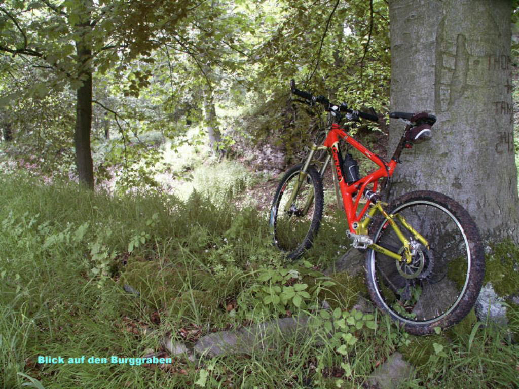 Burggraben_29
