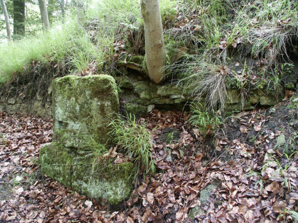 Burgruine_15