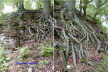 Duo_Burgruine_2