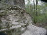 PICT0019