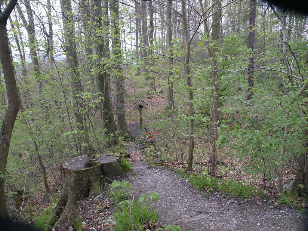 PICT0021