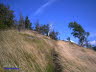 PICT0025