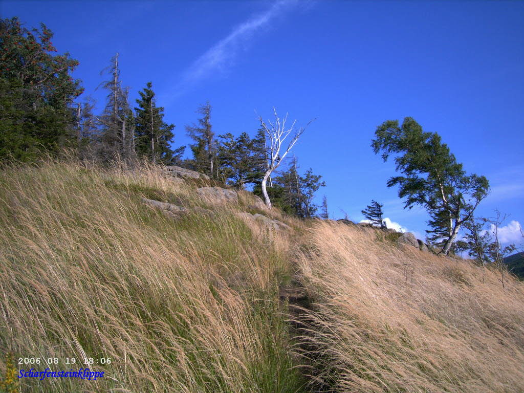 PICT0025