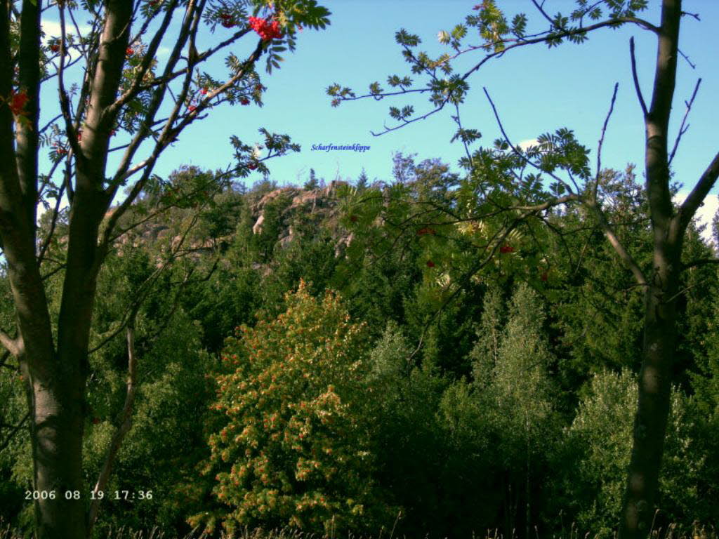 Scharfenstein_0