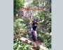 Singletrail_2