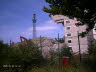 Stberhai_10