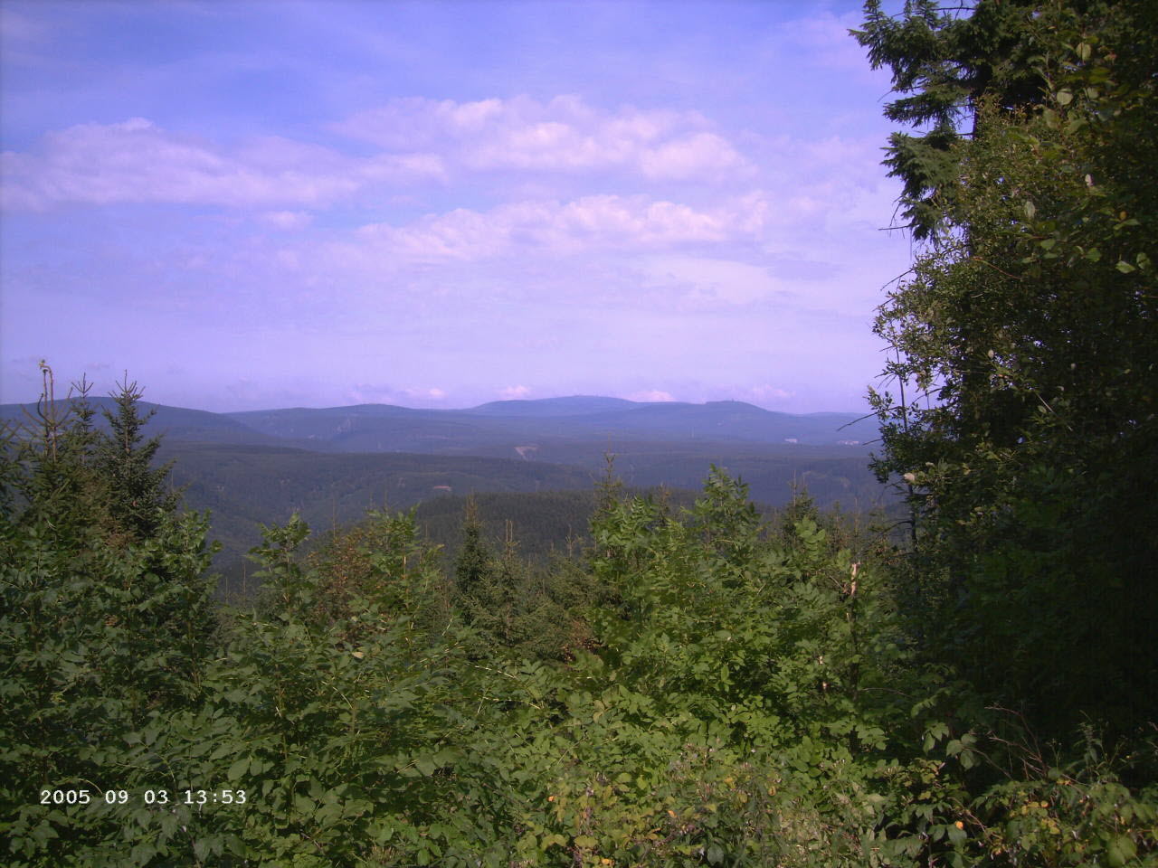 Stberhai_4
