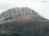 Winzenburg_5