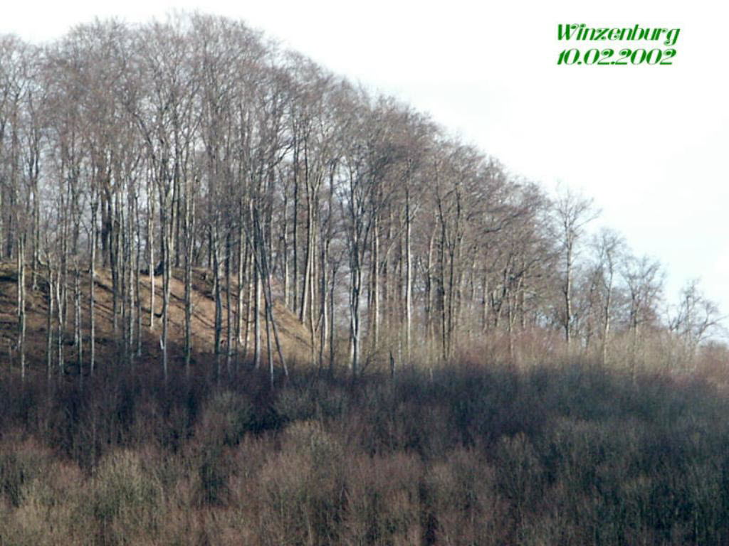 Winzenburg_6