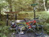 ZurHohenSchanze_1