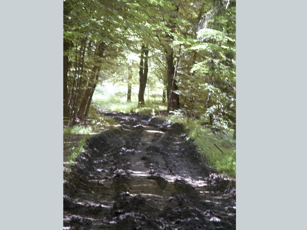ZurHohenSchanze_2